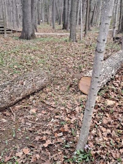 Evergreen Park - Huntington, IN