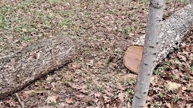 Evergreen Park - Huntington, IN