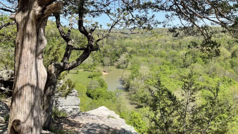 Kings River Overlook Nature Trail Head - Huntsville, AR