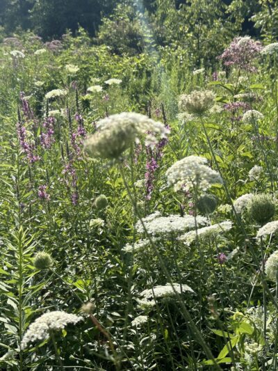 Hurley and O&W Rail Trail - Hurley, NY