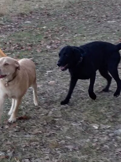 Hurley Marbletown Trailhead - Hurley, NY