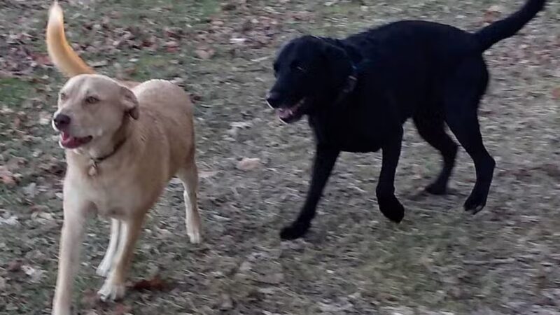 Hurley Marbletown Trailhead - Hurley, NY