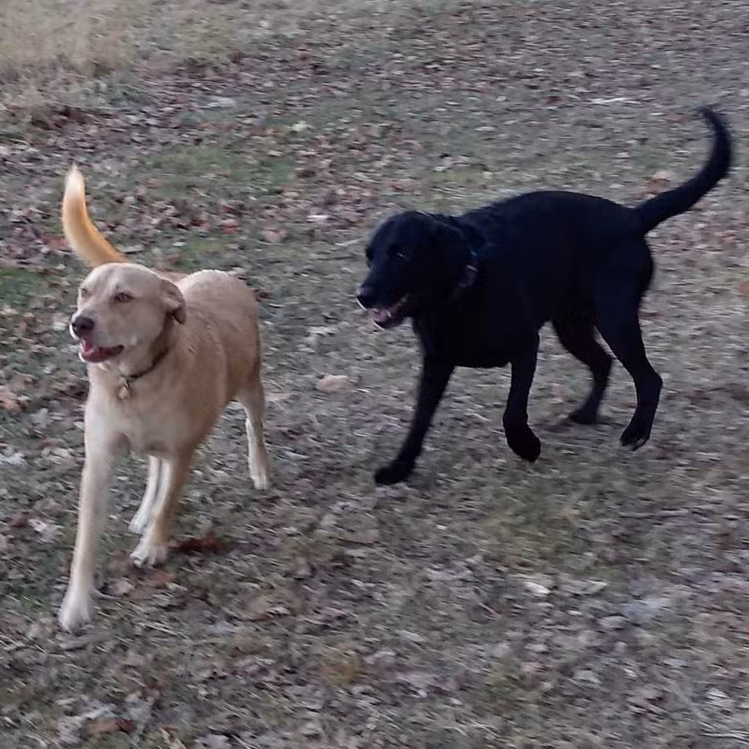 Hurley Marbletown Trailhead - Hurley, NY