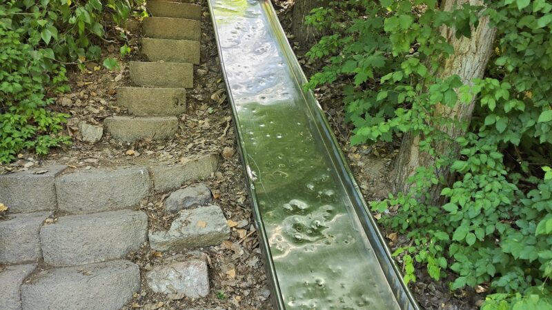 Lower Lion's Park - Hyde Park, UT