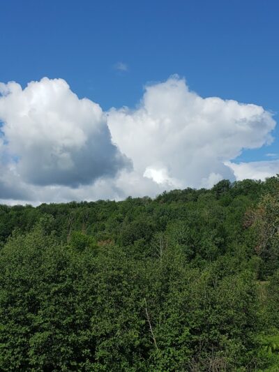 Stony Brook Farm - Hyde Park, VT