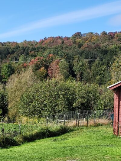Stony Brook Farm - Hyde Park, VT