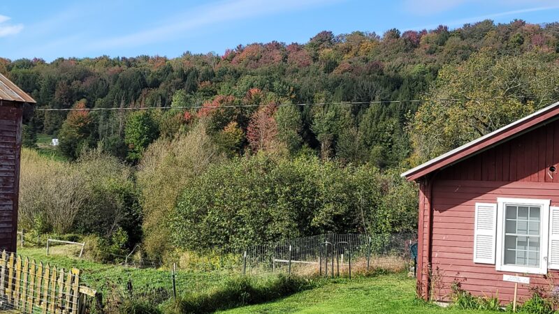Stony Brook Farm - Hyde Park, VT