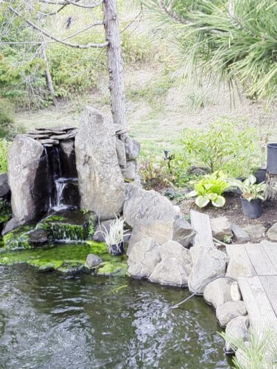 Dogwood Motel - Idleyld Park, OR