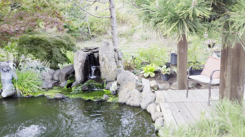 Dogwood Motel - Idleyld Park, OR