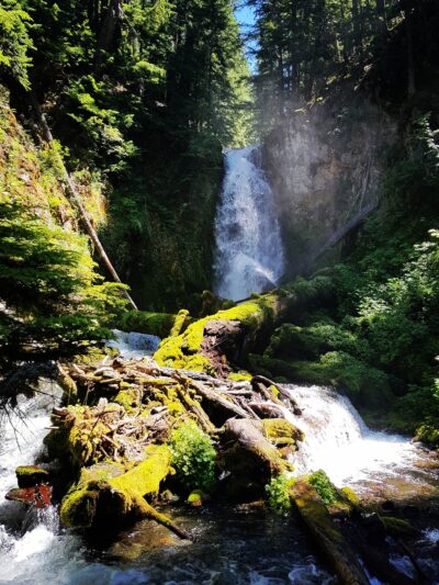Fall Creek Falls - Idleyld Park, OR