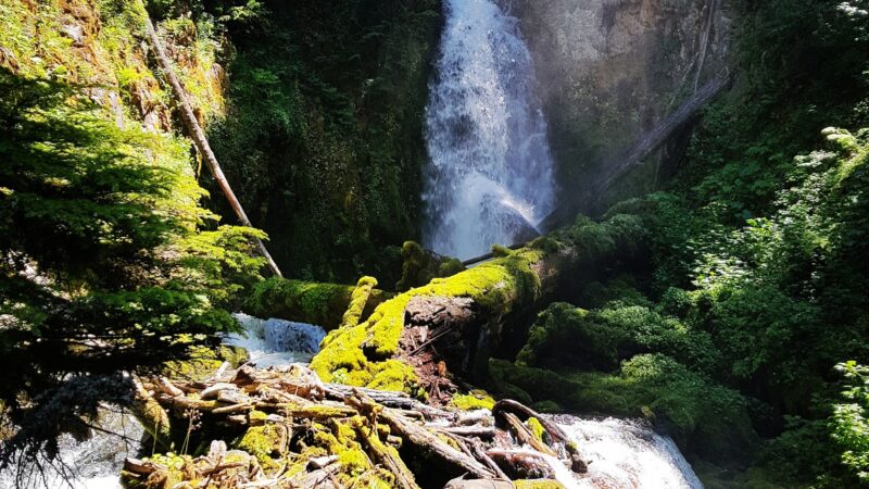 Fall Creek Falls - Idleyld Park, OR