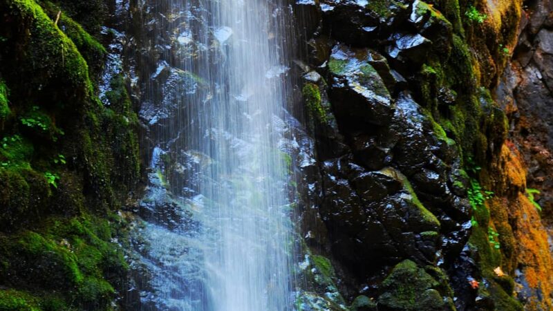 Fall Creek Falls - Idleyld Park, OR