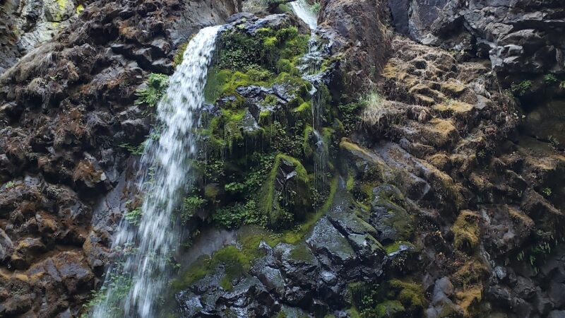 Fall Creek Falls - Idleyld Park, OR