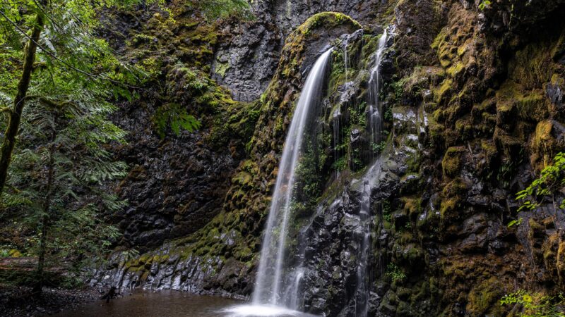 Fall Creek Falls - Idleyld Park, OR