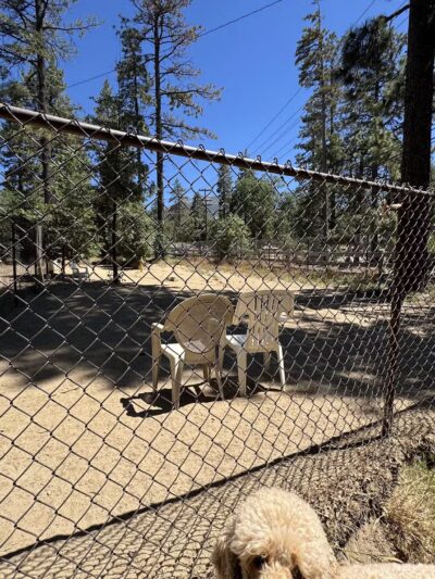 Rick Barker Dog Park - Idyllwild-Pine Cove, CA