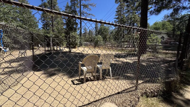 Rick Barker Dog Park - Idyllwild-Pine Cove, CA