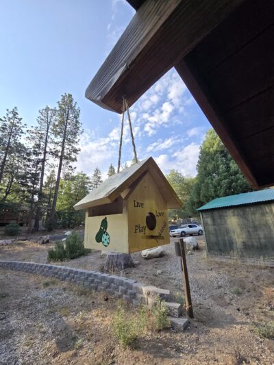 Rick Barker Dog Park - Idyllwild-Pine Cove, CA
