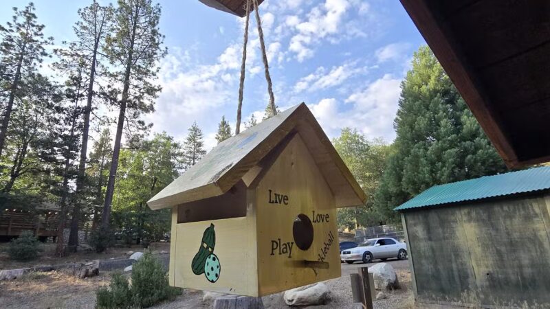 Rick Barker Dog Park - Idyllwild-Pine Cove, CA