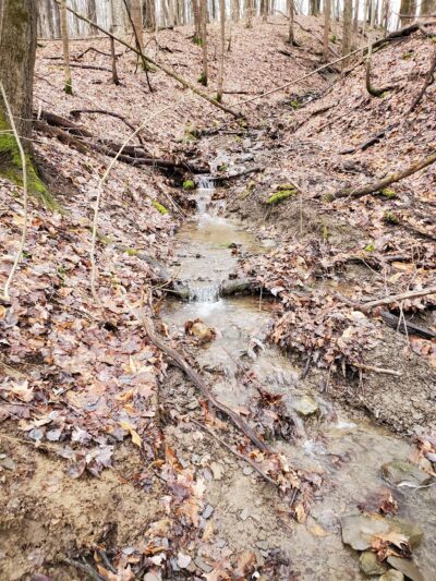 Russell Park Mountain Biking Trails - Ilion, NY