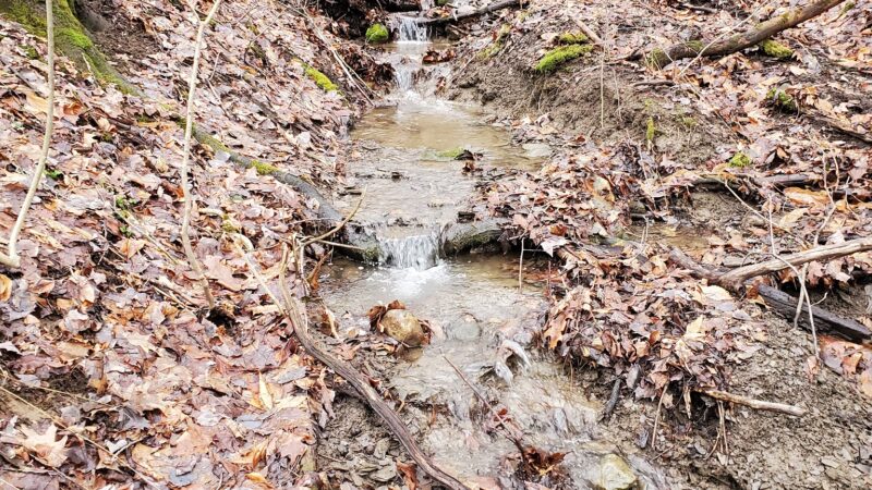 Russell Park Mountain Biking Trails - Ilion, NY