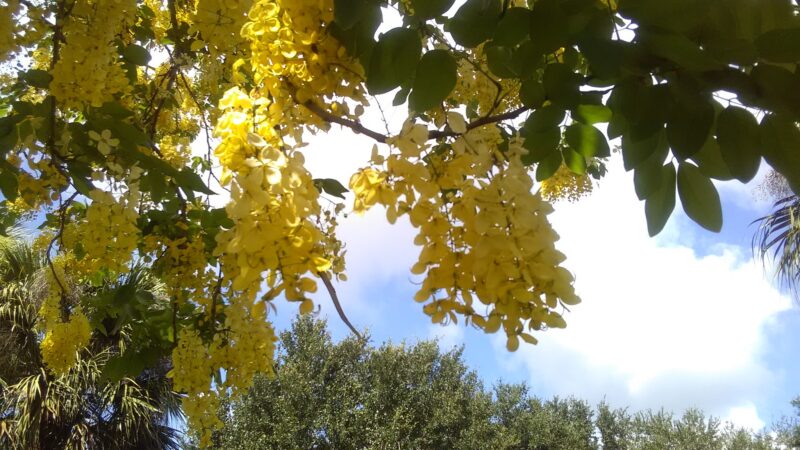 Immokalee Community Park - Immokalee, FL