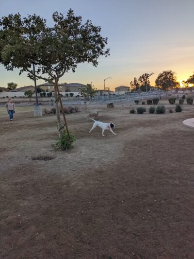 Woof Town - Imperial, CA