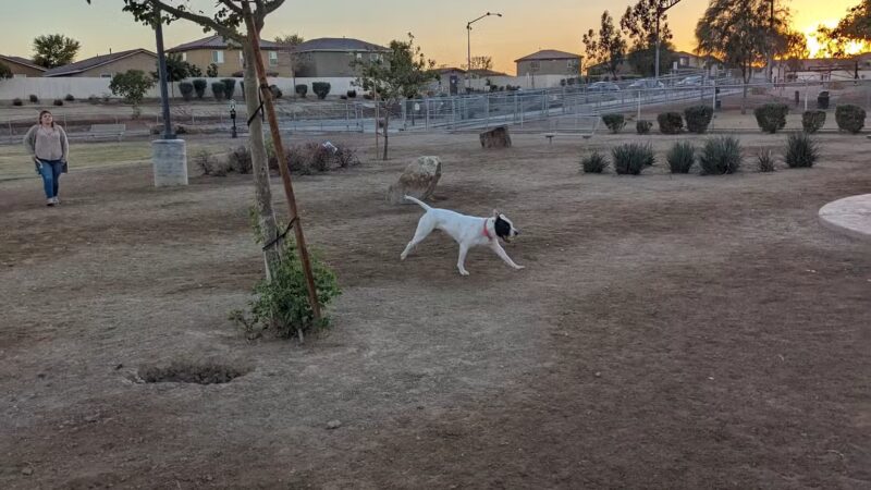 Woof Town - Imperial, CA