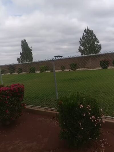 Woof Town - Imperial, CA