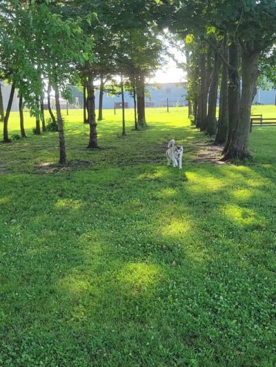 Independence Park & Recreation - Independence, IA