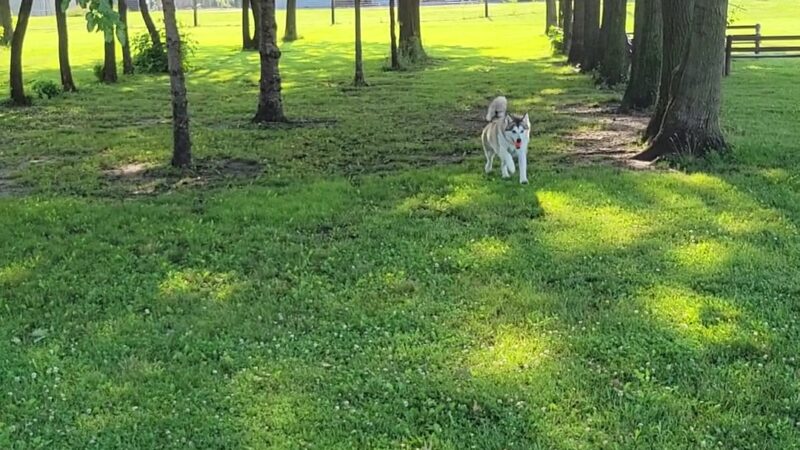 Independence Park & Recreation - Independence, IA