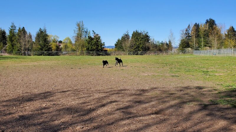 Independence Dog Park - Independence, OR