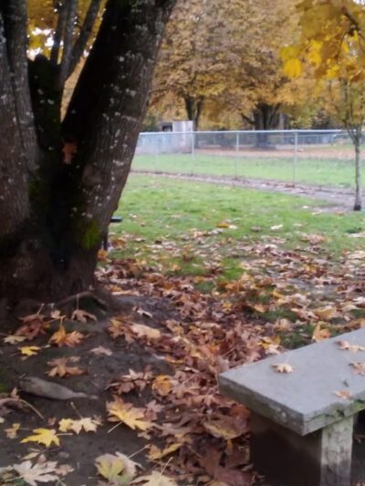 Independence Dog Park - Independence, OR