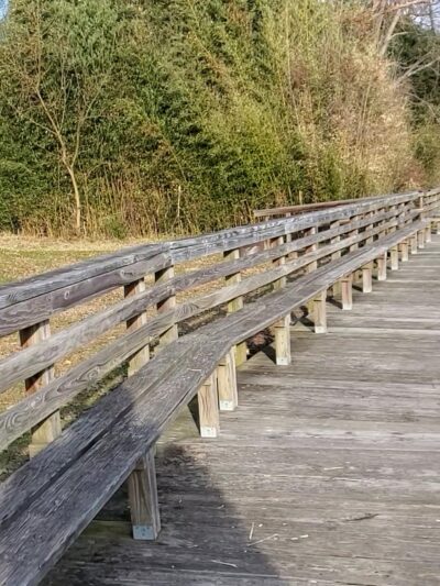 Mattingly Avenue Park - Indian Head, MD