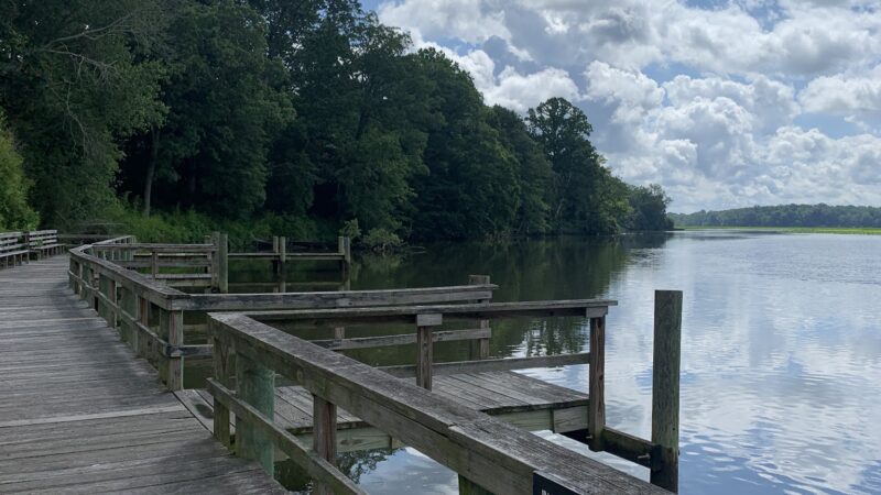 Mattingly Avenue Park - Indian Head, MD