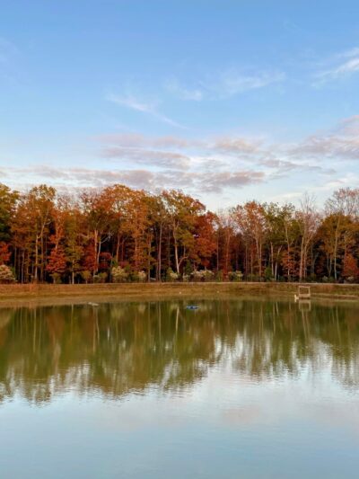 Chestnut Square Park - Indian Trail, NC