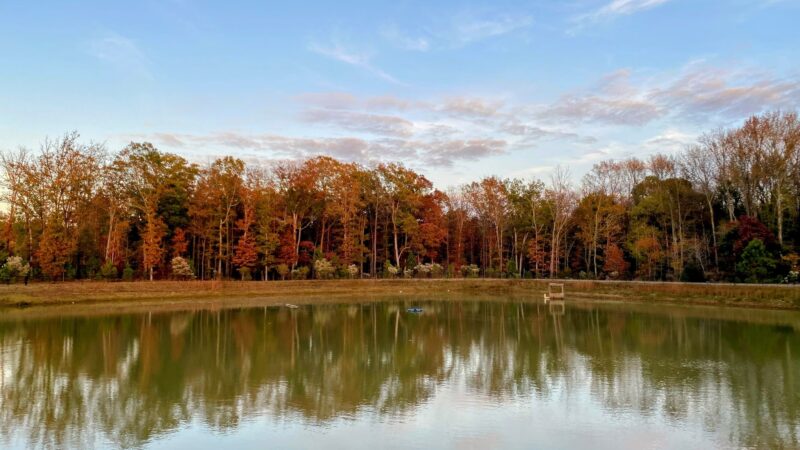 Chestnut Square Park - Indian Trail, NC