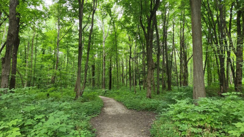 Eagle Creek Park - Indianapolis, IN