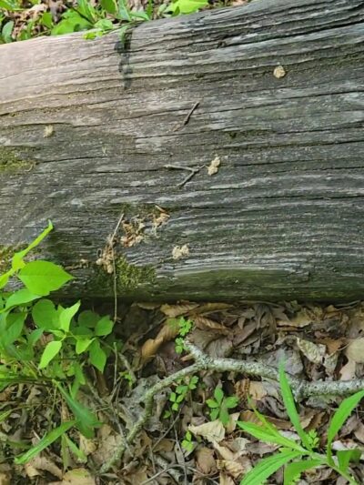 Eagle Creek Park - Indianapolis, IN