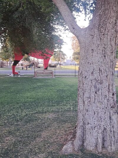 Dog park - Indio, CA