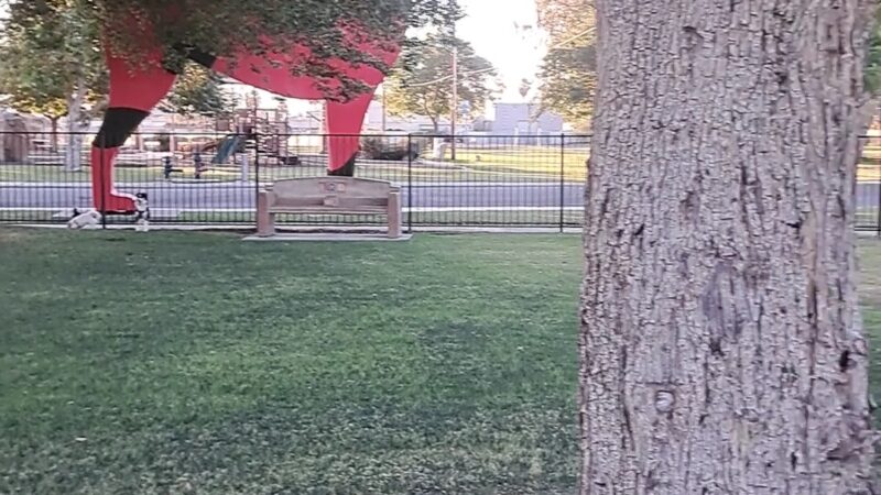 Dog park - Indio, CA