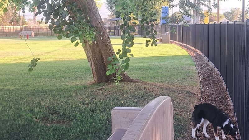 Dog park - Indio, CA