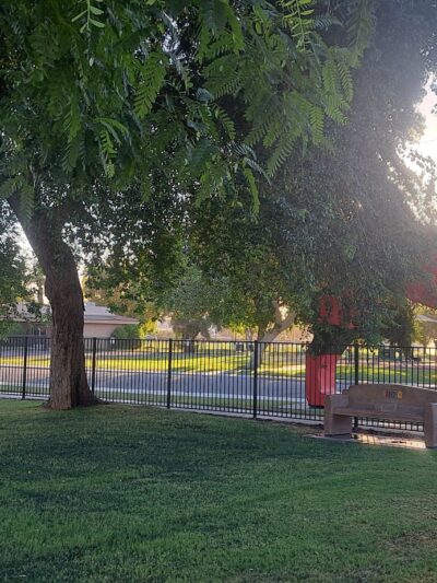Dog park - Indio, CA
