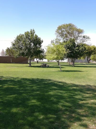 Mulligan Dog Park - Indio, CA