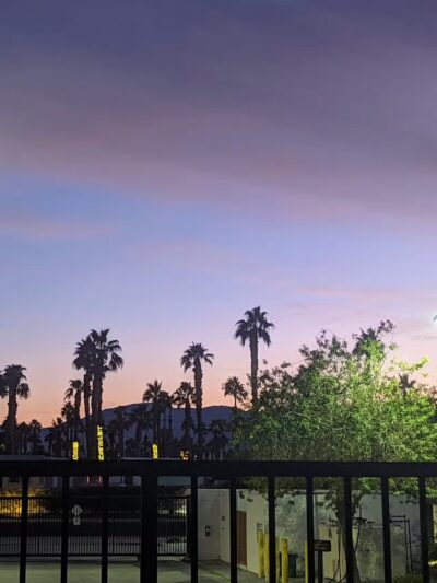 Station 87 Dog Park - Indio, CA