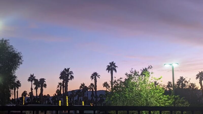 Station 87 Dog Park - Indio, CA