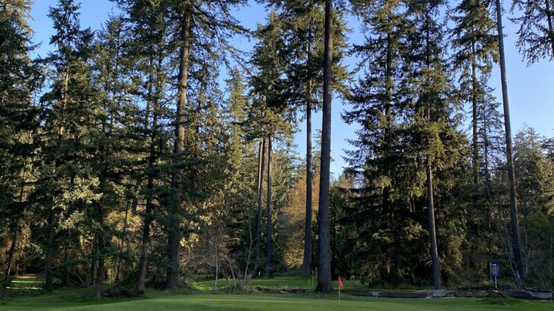 Center Park - Inglewood, CA