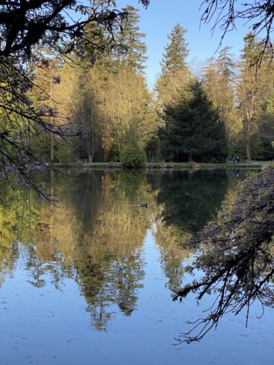 Center Park - Inglewood, CA