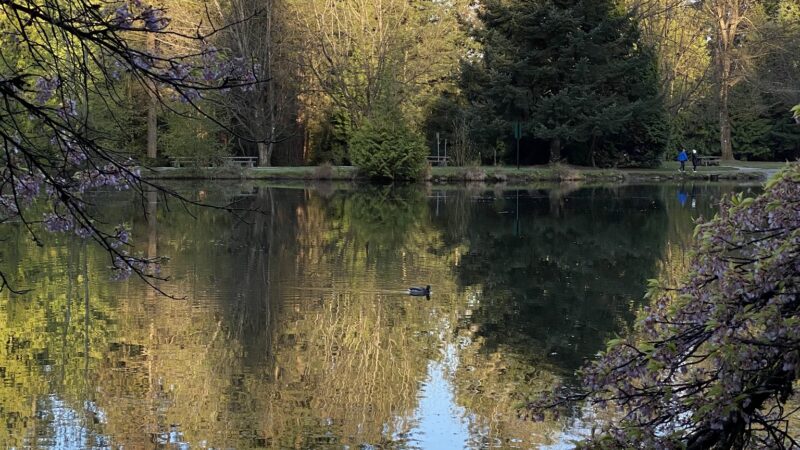 Center Park - Inglewood, CA