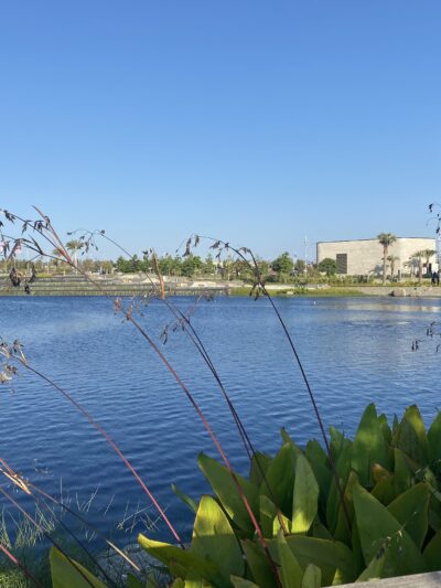 Rivers Lake - Inglewood, CA