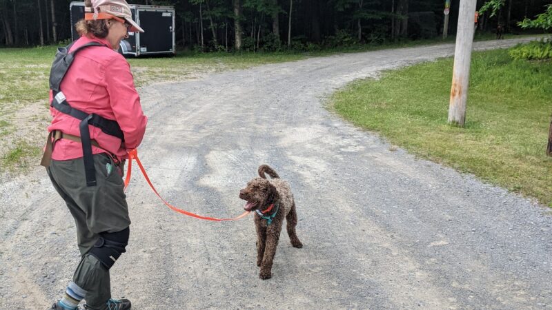 Fern Park - Inlet, NY